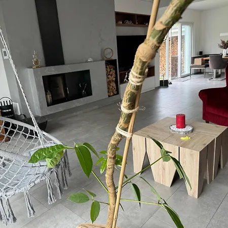 Exklusives Haus Mit Pool&sauna Hamm (North Rhine-Westphalia)