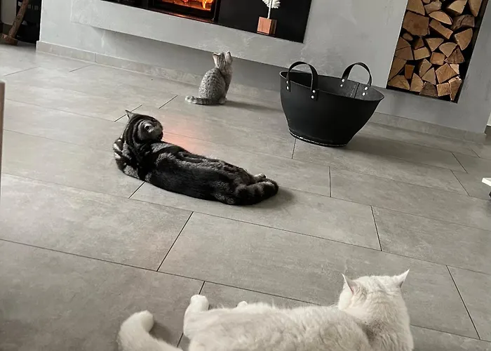 Exklusives Haus Mit Pool&sauna * Hamm (North Rhine-Westphalia)